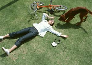 ブリーダーからトイプードルを購入しよう