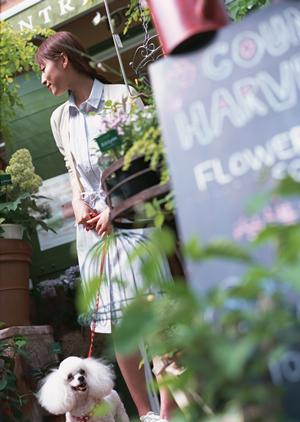 秦野の周辺の動物病院に行くのならば