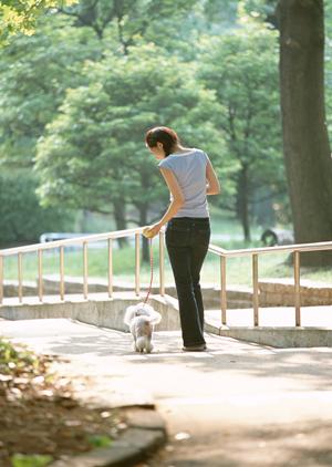 表参道にあるランチも楽しめる名店
